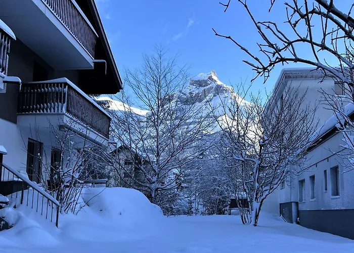 Soerenweg 4 By Interhome Lejlighed Engelberg