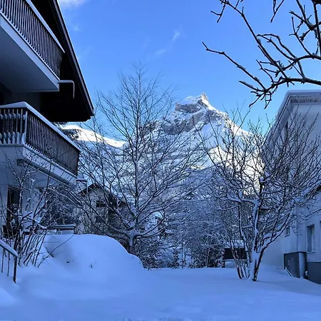 Soerenweg 4 By Interhome Apartmán Engelberg